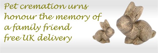 Pet cremation urns 